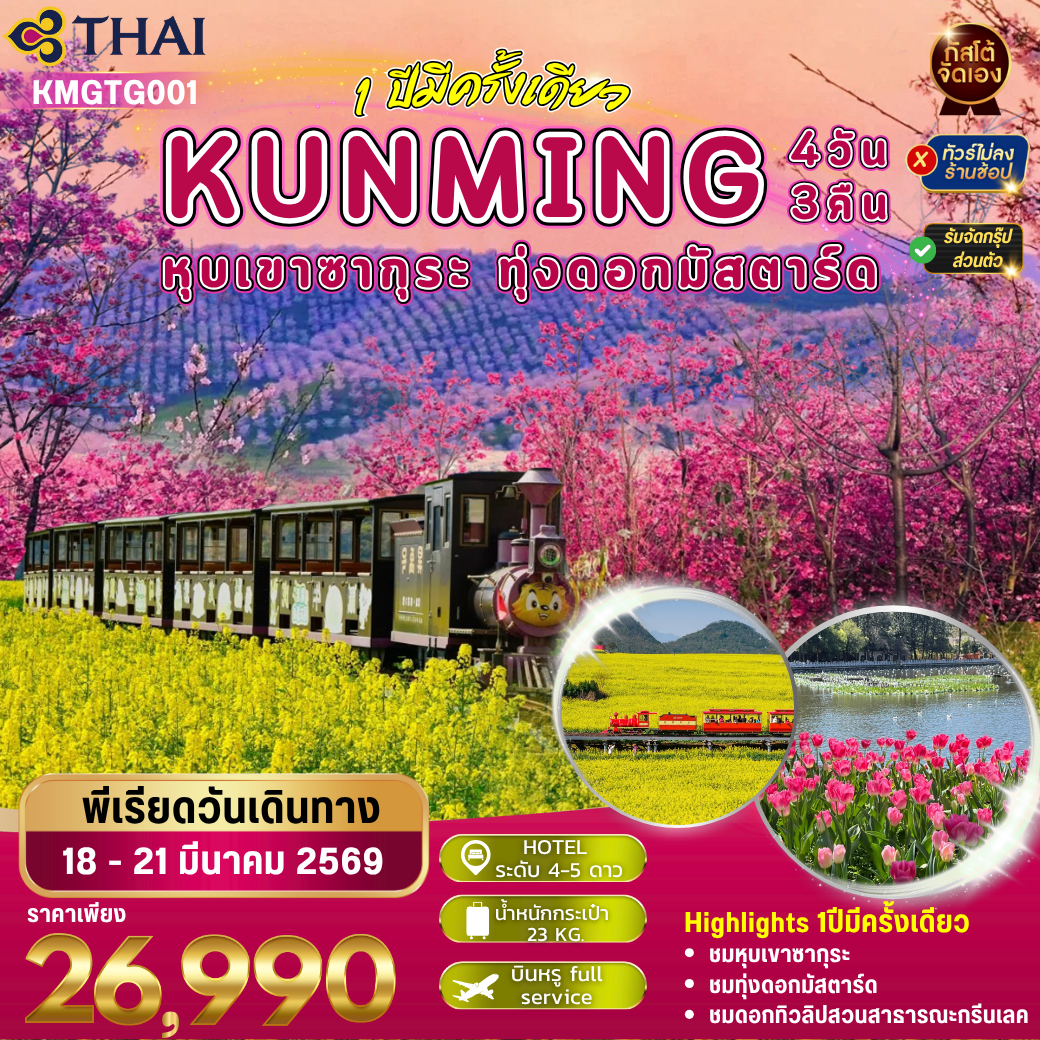 ทัวร์จีน คุนหมิง หุบเขาซากุระ ดอกมัสตาร์ค สวนทิวลิป 4 วัน 3 คืน (NO SHOP)