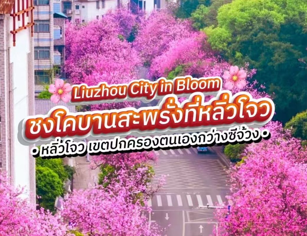 Liuzhou City Walk | โรแมนติกสีชมพูทั่วทั้งเมือง