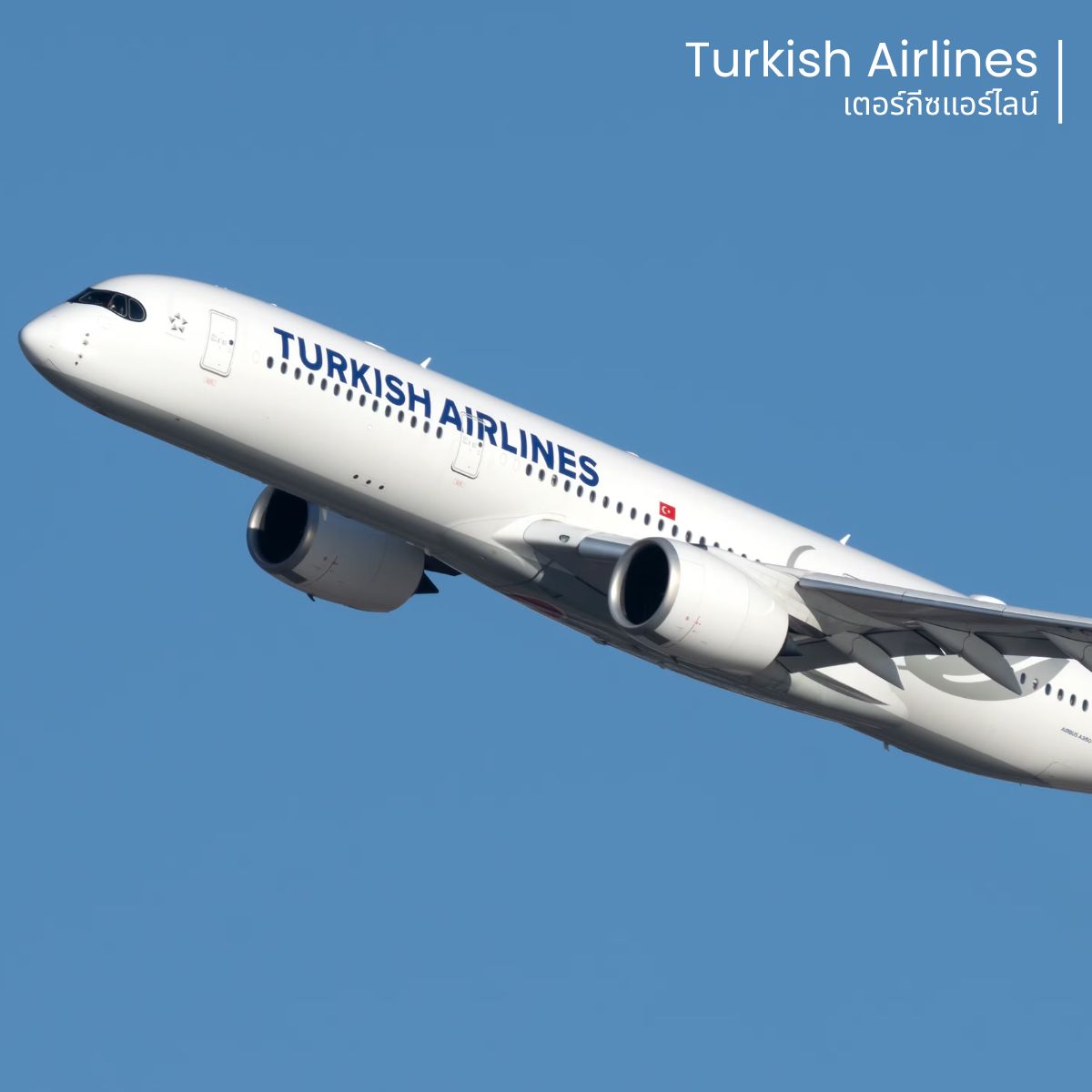 Credit : https://en.wikipedia.org/wiki/Turkish_Airlines_fleet?utm_source=chatgpt.com
