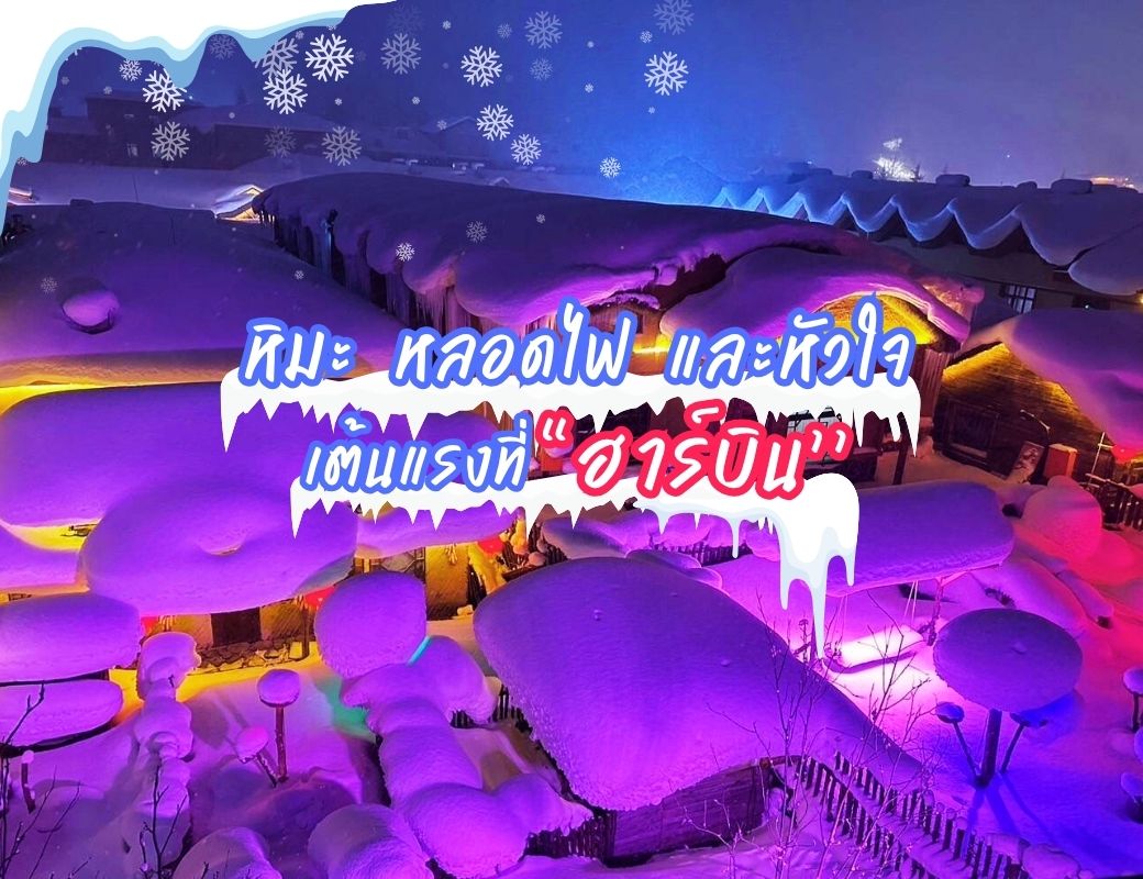 ❄️✨ หิมะ หลอดไฟ และหัวใจที่เต้นแรงที่ 