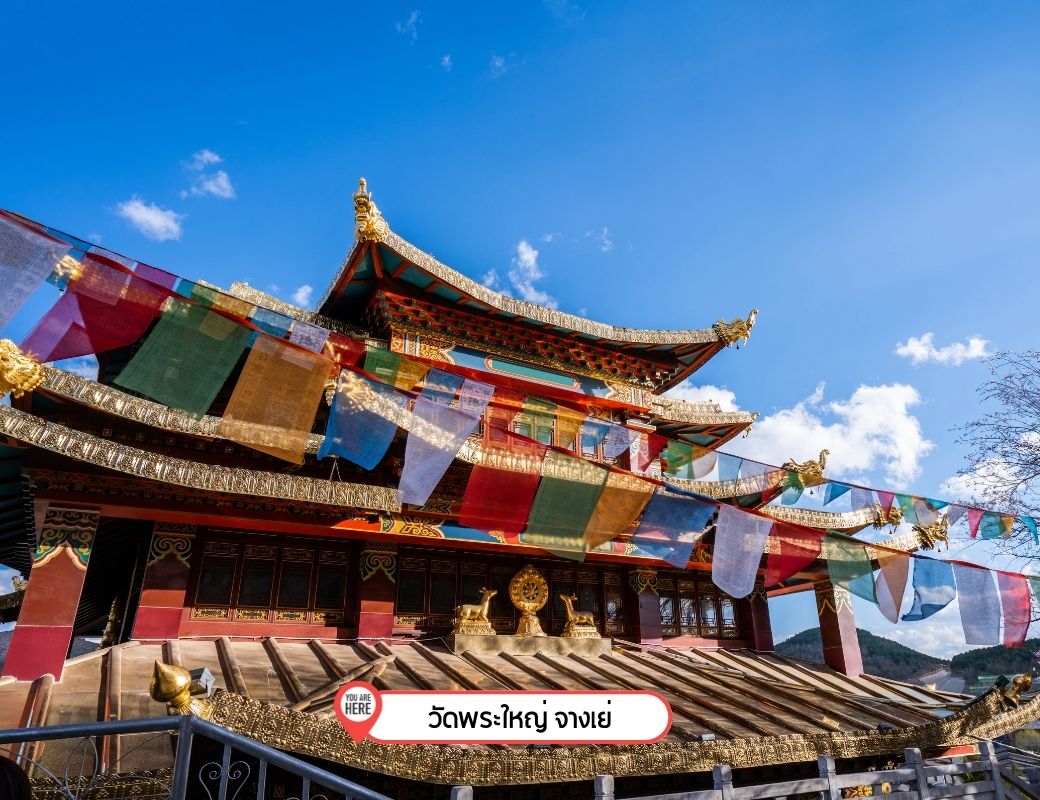 https://www.canva.com/photos/MAD8GzAX7Xg/