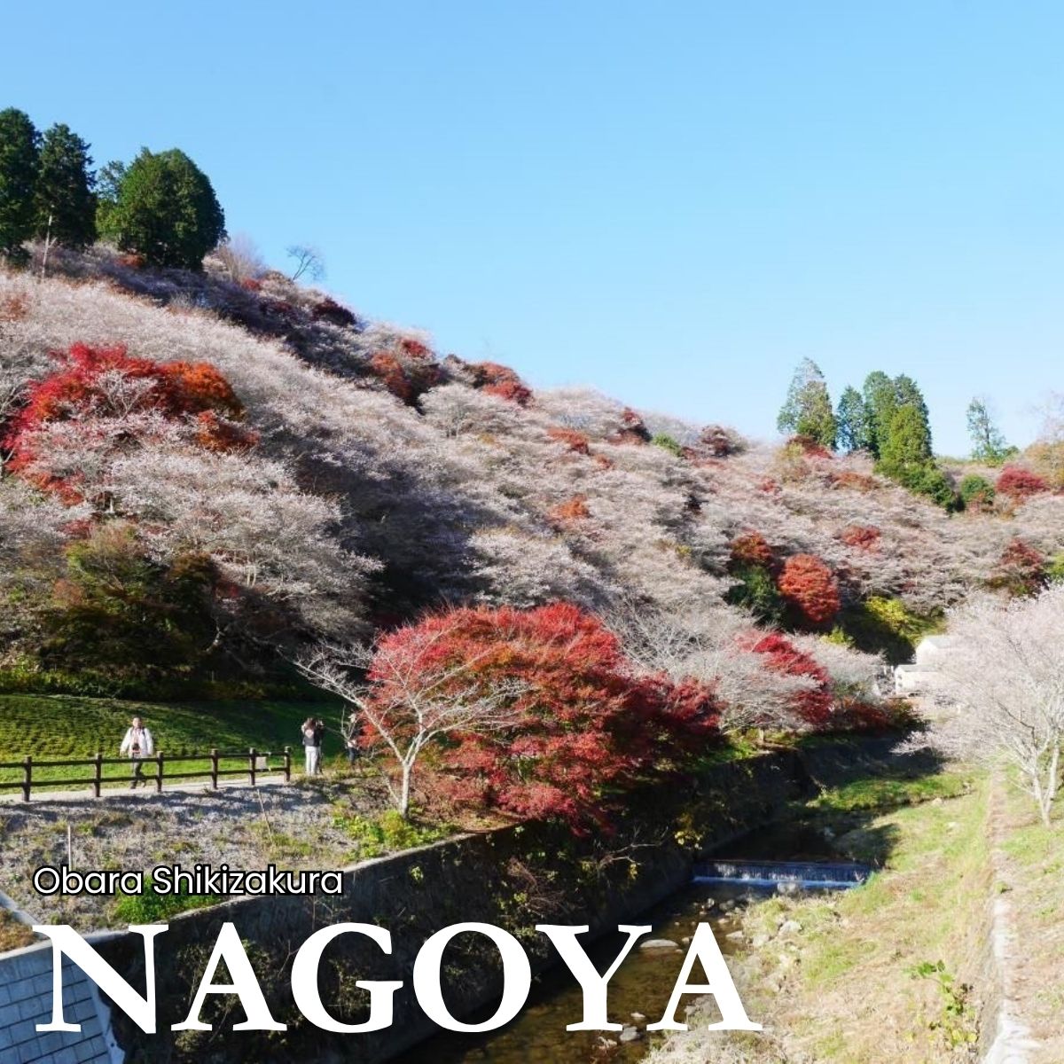 Credit:aichinow.pref.aichi.jp