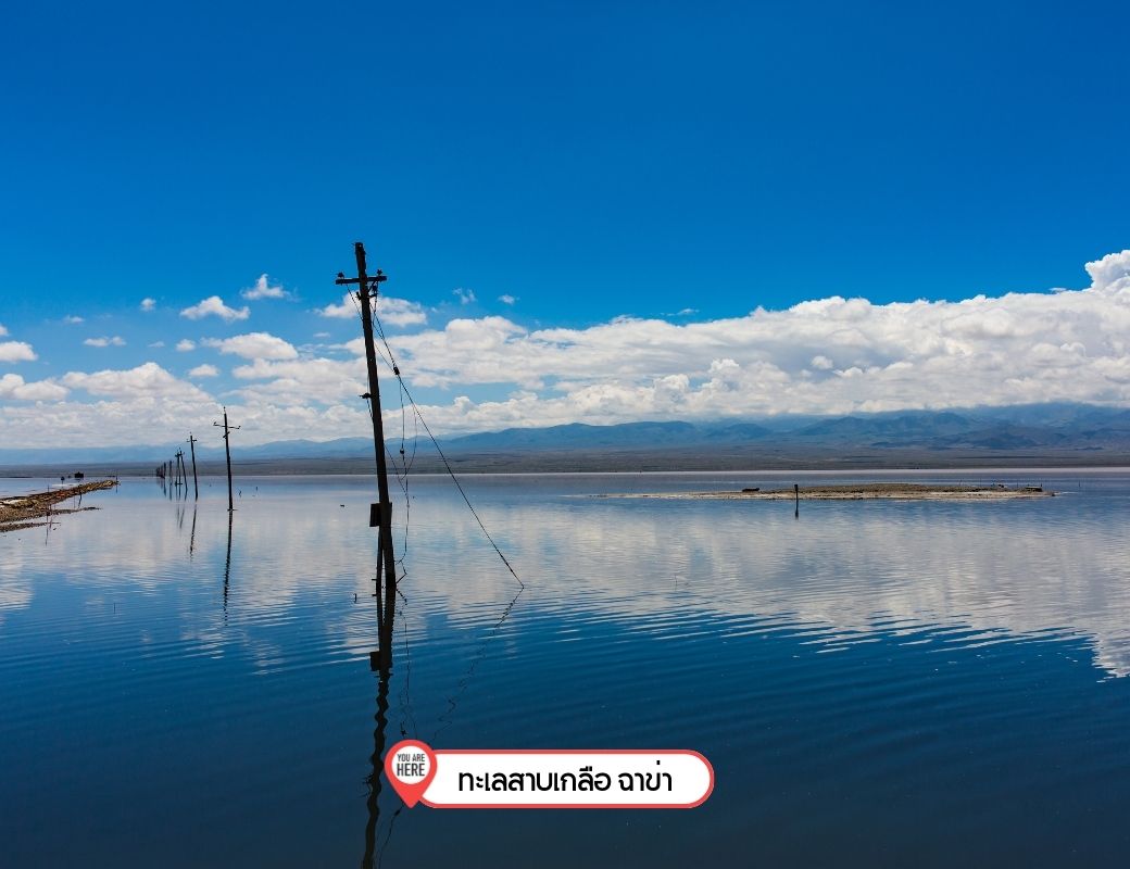 https://www.canva.com/photos/MADINNXlDF0/