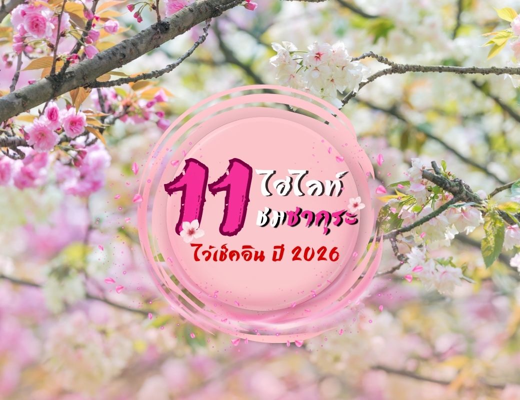 11 ไฮไลท์ ชมซากุระ ไว้เช็คอิน 2026