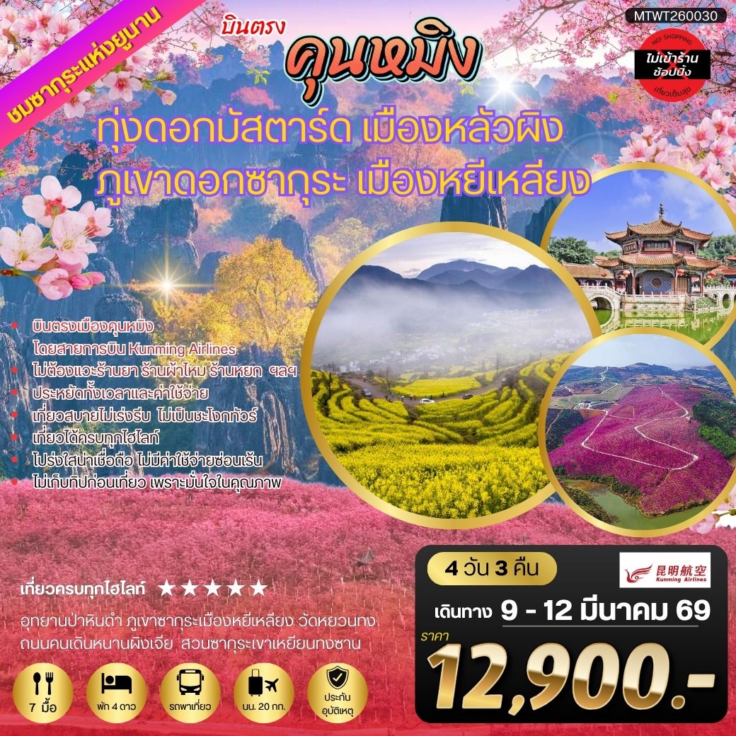 ทัวร์จีน คุนหมิง ชมทุ่งดอกมัสตาร์ด เมืองหลัวผิง ชมภูเขาดอกซากุระ เมืองหยีเหลียง 4วัน 3คืน ไม่เข้าร้าน (KY)