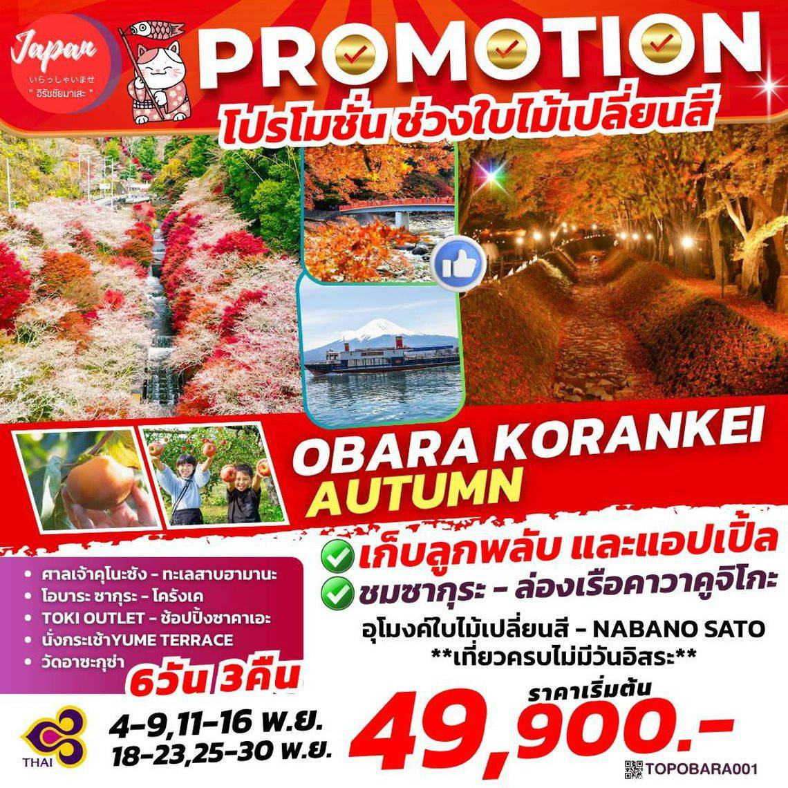 ทัวร์ญี่ปุ่น TOKYO NAGOYA 6วัน 3คืน (TG)