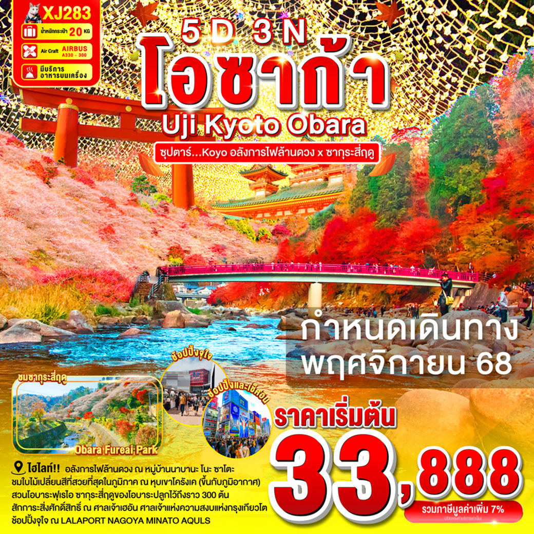 ทัวร์ญี่ปุ่น OSAKA UJI KYOTO OBARA ซุปตาร์...Kōyō อลังการไฟล้านดวง ซากุระสี่ฤดู 5วัน 3คืน (XJ)