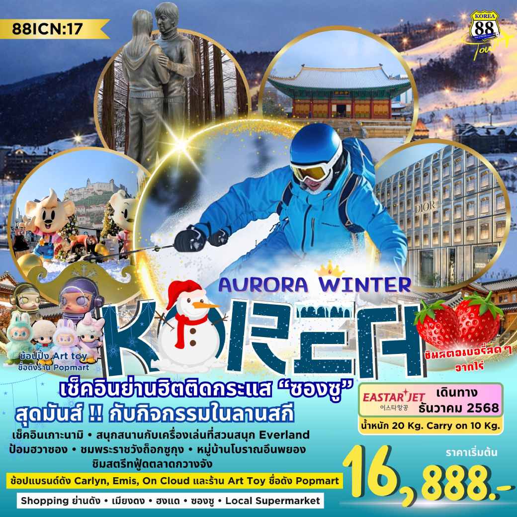 ทัวร์เกาหลี Aurora Winter 5วัน 3คืน (ZE)